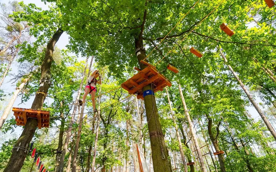 Český ráj: domek na stromě i s možností snídaní až pro 4 osoby