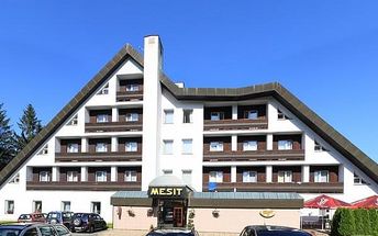 Hotel Mesit