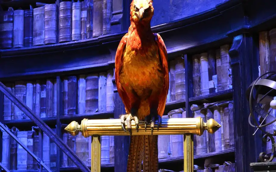 Výlet do Londýna: možnost návštěvy ateliérů Harryho Pottera