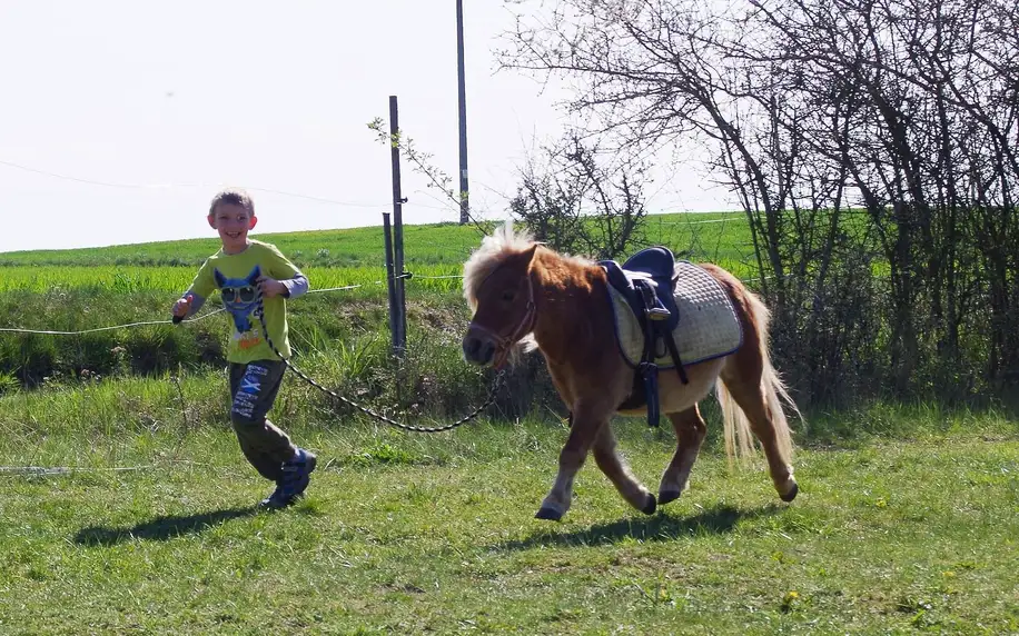 Prohlídka eko farmy, jízda na koni i program pro děti