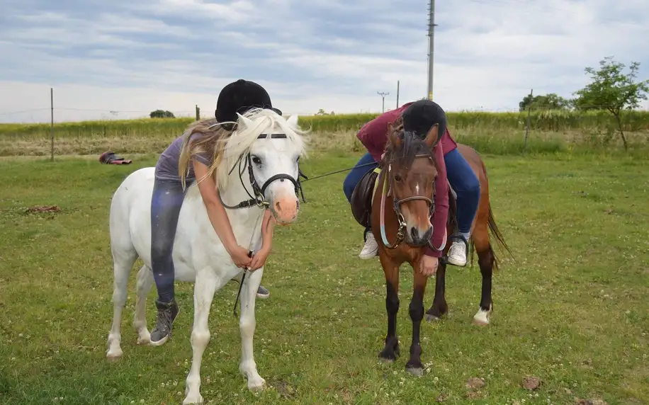 Prohlídka eko farmy, jízda na koni i program pro děti