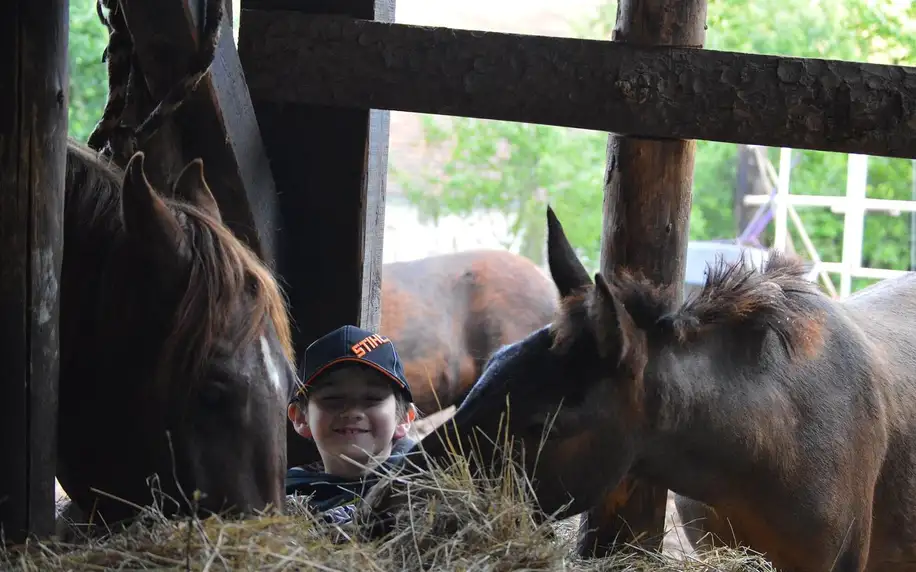 Farmářem na zkoušku: práce se zvířaty i jízda na koni