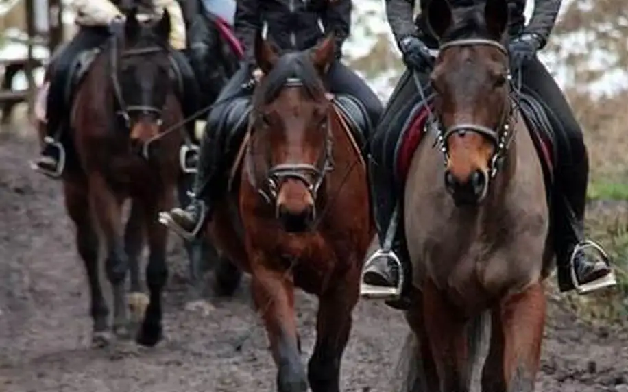 Den plný zážitků s koňmi v jezdecké škole Macek