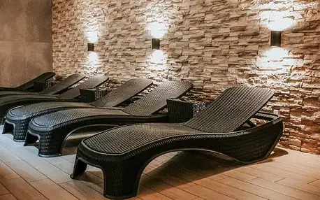 Jižní Čechy blízko památek UNESCO v Hotelu Alf *** s polopenzí a vstupem do wellness s vířivkou a saunami