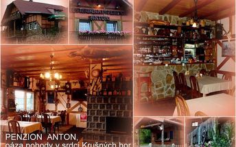 Restaurant Pension-Anton