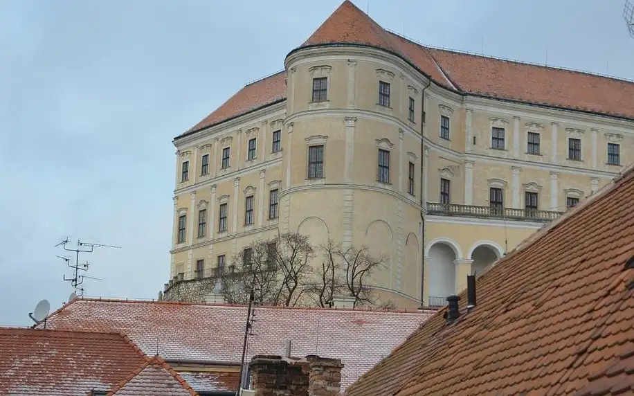 Mikulov, Jihomoravský kraj: Penzion U Žabáka