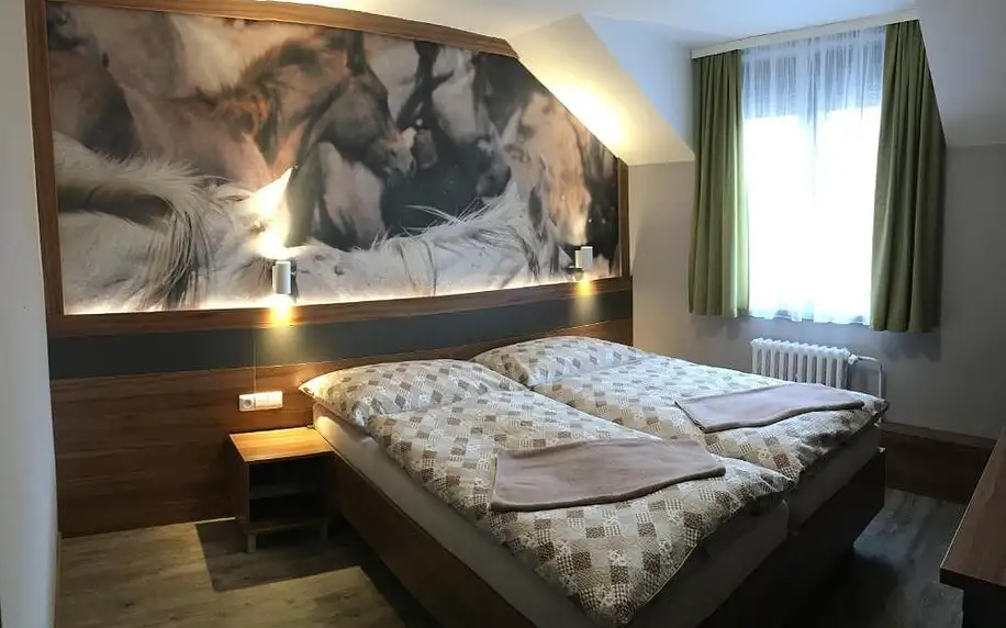 Beroun, Středočeský kraj: Hotel U koně