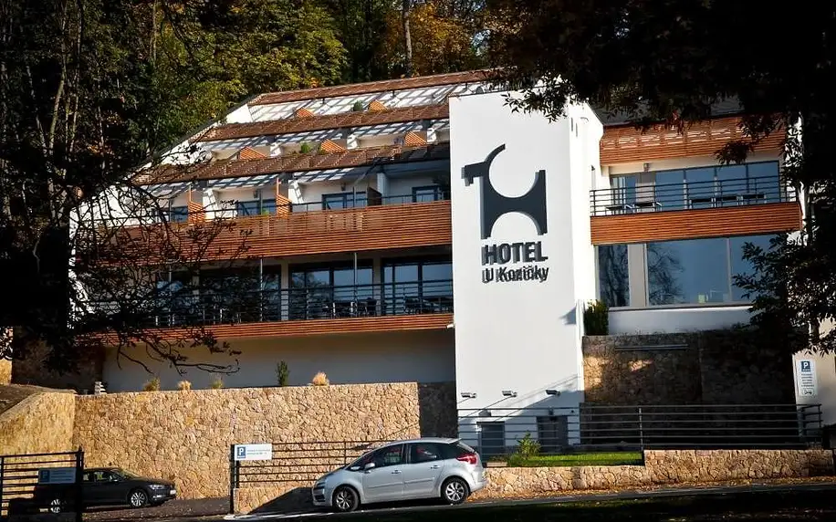 Teplice, Ústecký kraj: Hotel U Kozicky