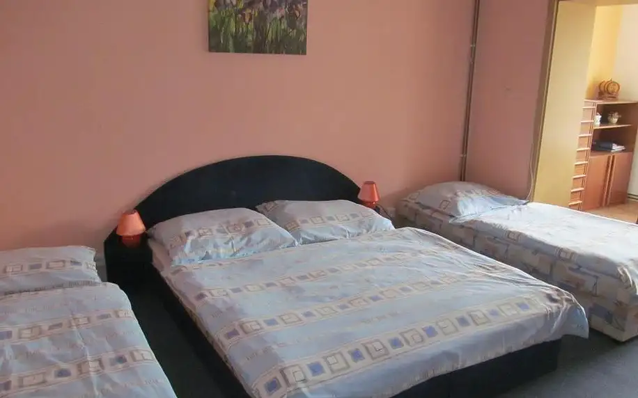 Valtice, Jihomoravský kraj: V Aleji - ubytování v soukromí