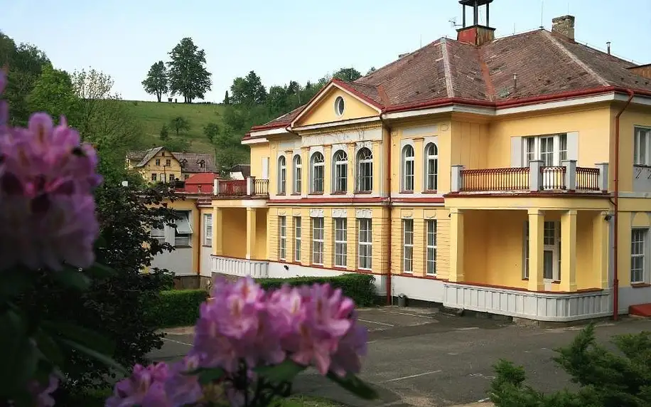 Lázně Libverda, Liberecký kraj: Spa Resort Libverda - Villa Friedland