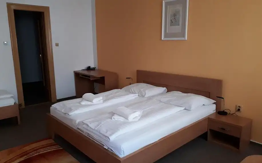 Ostrava, Moravskoslezský kraj: Hotel Maria