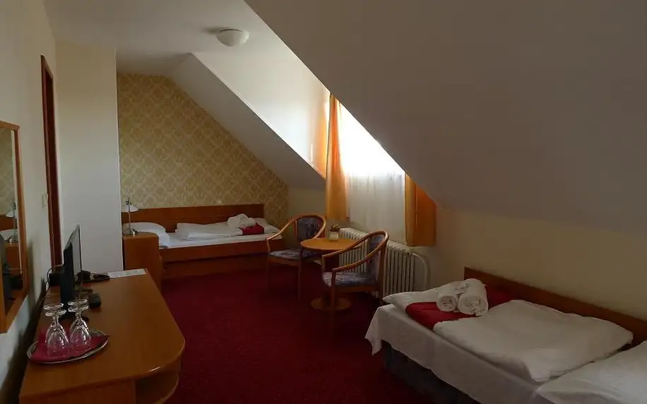 Telč, Vysočina: Hotel U Černého orla