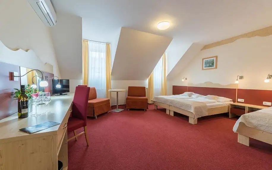 Jižní Morava: Hotel Iris***