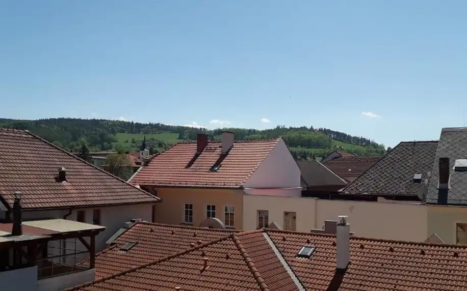 Sušice, Plzeňský kraj: Apartmán McVitek