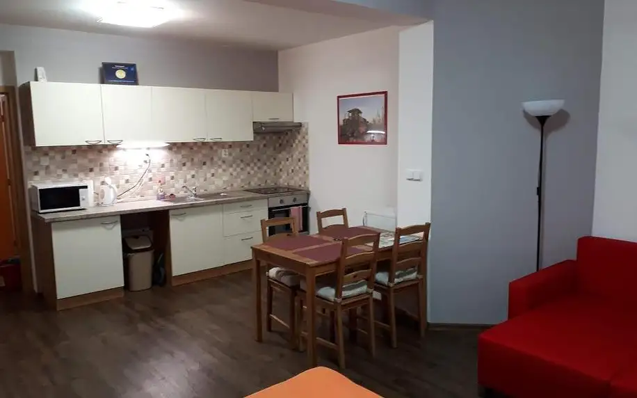 Děčín, Ústecký kraj: Bohemica Apartments
