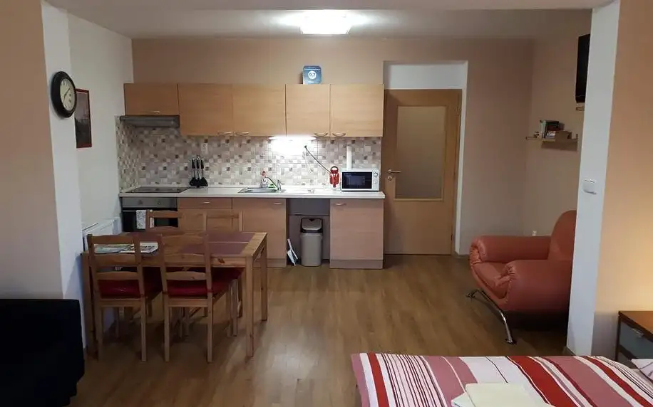 Děčín, Ústecký kraj: Bohemica Apartments