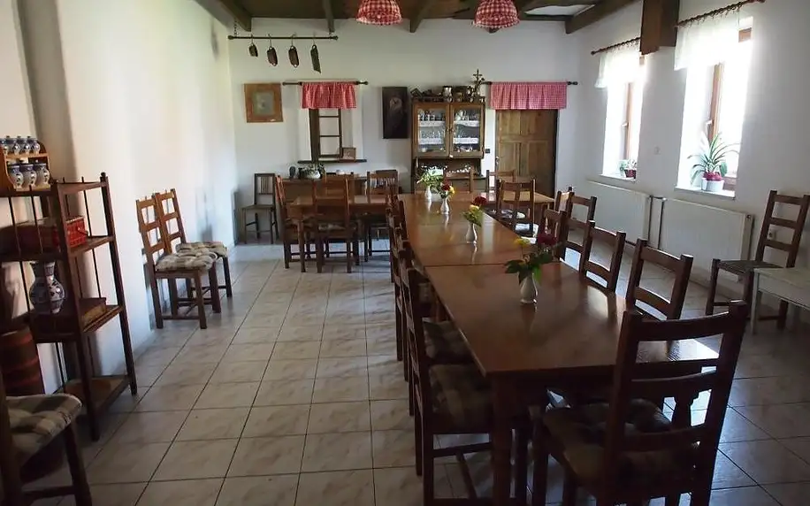 Velké Bílovice, Jihomoravský kraj: Penzion a restaurace U Hroznu