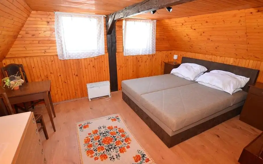 Ústecký kraj: Holiday home in Jiret n pod Jedlovou with sauna