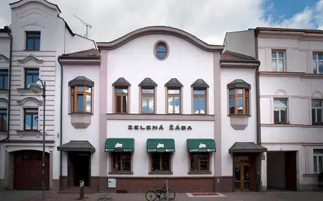 Pardubice, Pardubický kraj: Penzion Zelená Žába