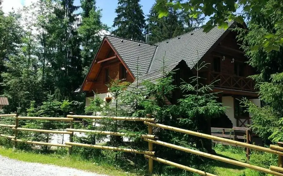 Rodinná dovolená či maloskupinová akce v chatě Alpina