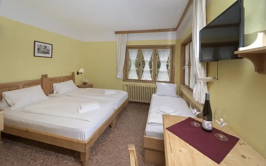 Alpský hotel v těsné blízkosti populárního ski areálu Svatý Petr