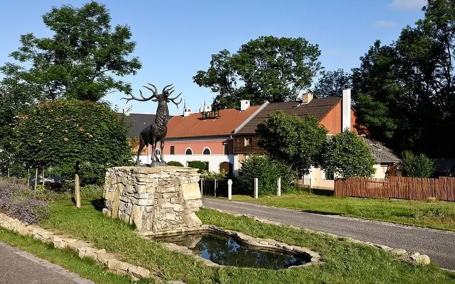 Ubytujte se ve středověké tvrzi ze 13. století na okraji města Letohrad