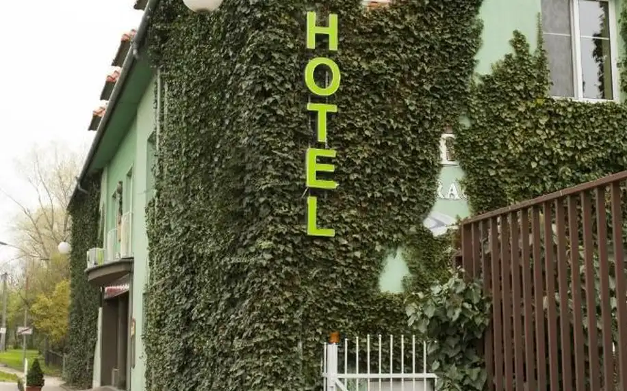 Vyškov, Jihomoravský kraj: Hotel Atrium