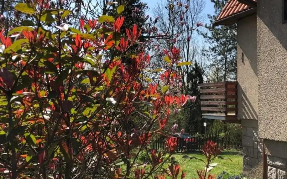 Středočeský kraj: Chata se zahradou