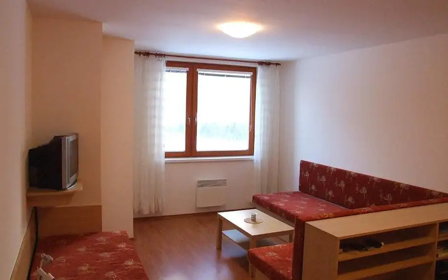 Olomoucký kraj: Apartman Ašek
