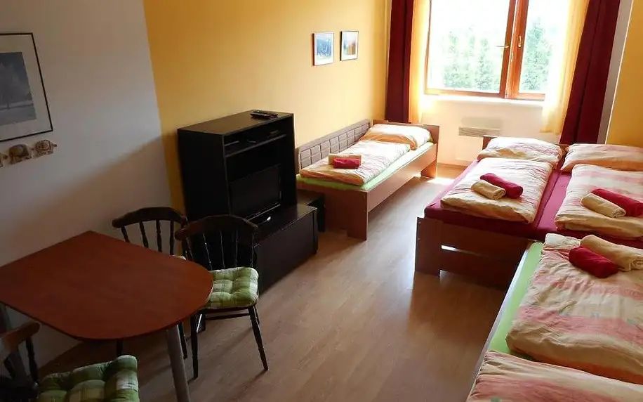 Olomoucký kraj: Apartment Ramzová Adam 25