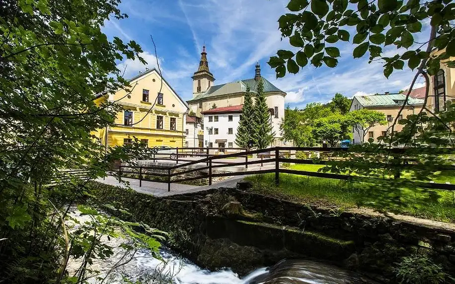 Rokytnice nad Jizerou, Liberecký kraj: Yellow Ski Apartments