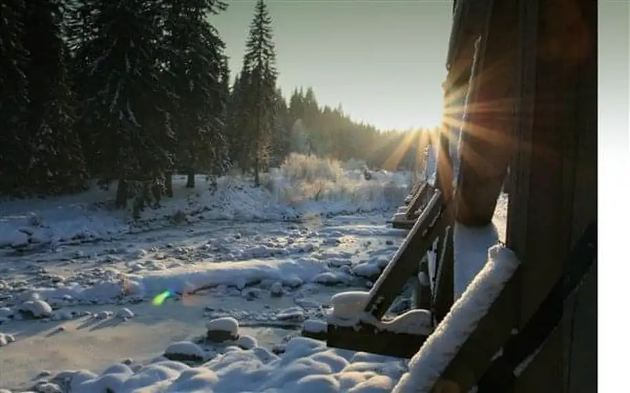 SRNÍ - Srní, Šumava