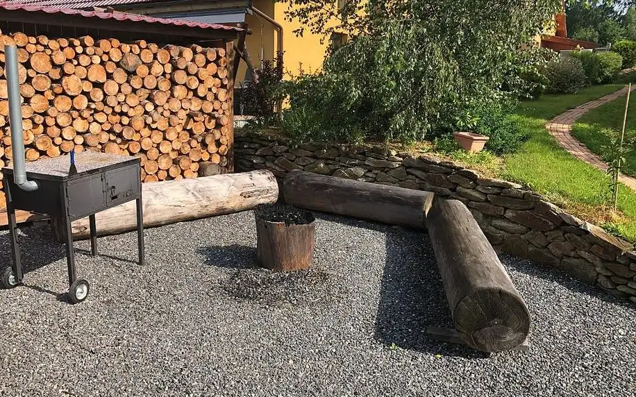 Kraj Vysočina: Vojnův Městec Dům s vůní dřeva