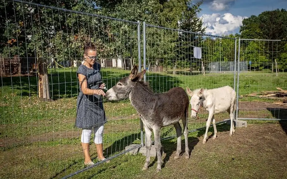 Krušné hory: Penzion statek Bernard