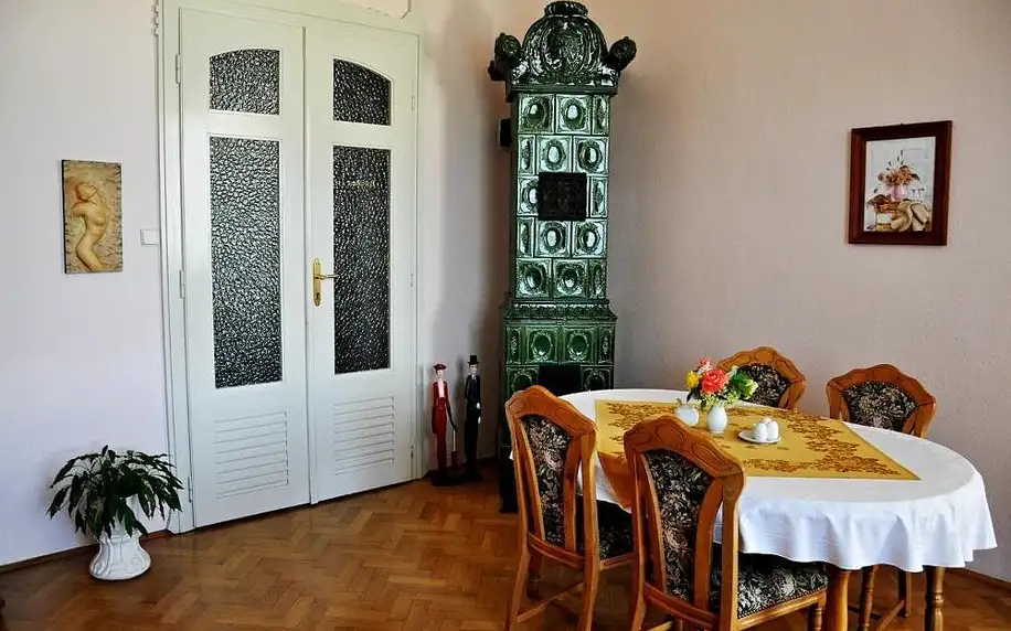Olomoucký kraj: Pension Habermannova Vila