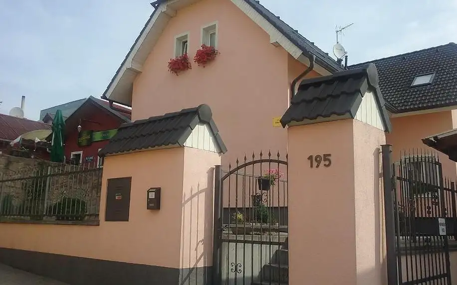 Vysočina: Villa Amenity