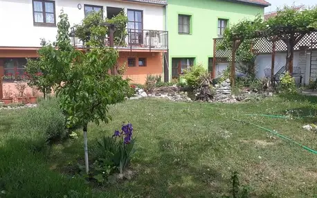 Mikulov, Jihomoravský kraj: Pension Zelený strom
