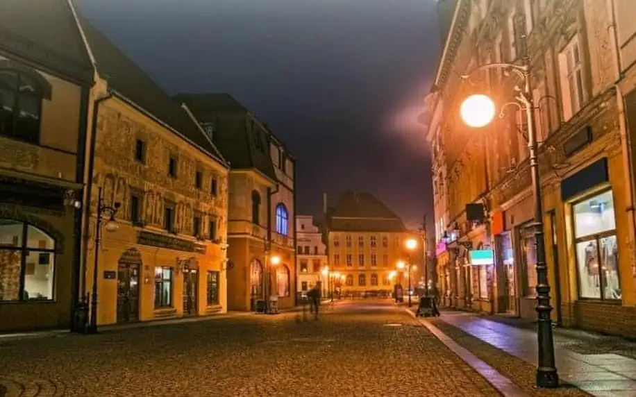 Polsko v historickém městě blízko Vratislavi: 4* Qubus Hotel Legnica s wellness a polopenzí + dítě do 6 let
