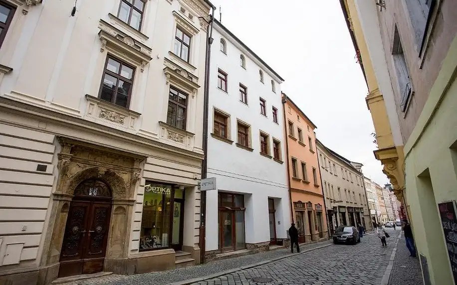 Olomouc, Olomoucký kraj: Apartment Ztracená 8