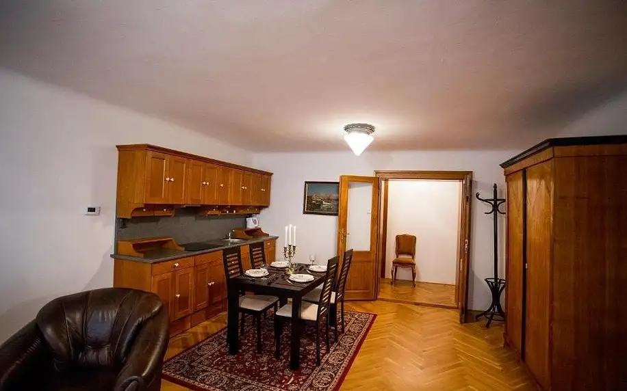 Olomouc, Olomoucký kraj: Apartment Ztracená 8
