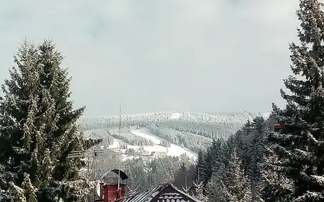 Rokytnice nad Jizerou, Liberecký kraj: Apartmán Iveta