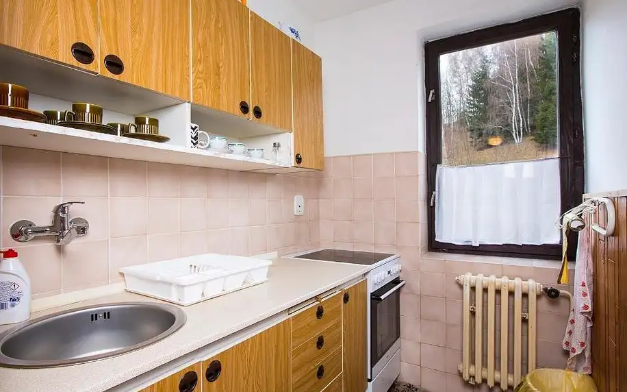 Rokytnice nad Jizerou, Liberecký kraj: Apartmán Braun