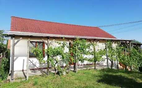 Jihomoravský kraj: Apartmán s vinným sklepem Four Grapes