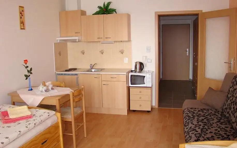 Třeboňsko: Apartment Relax-ideal