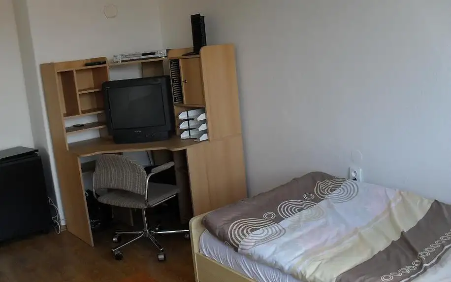 Plzeňsko: Apartment Pražská