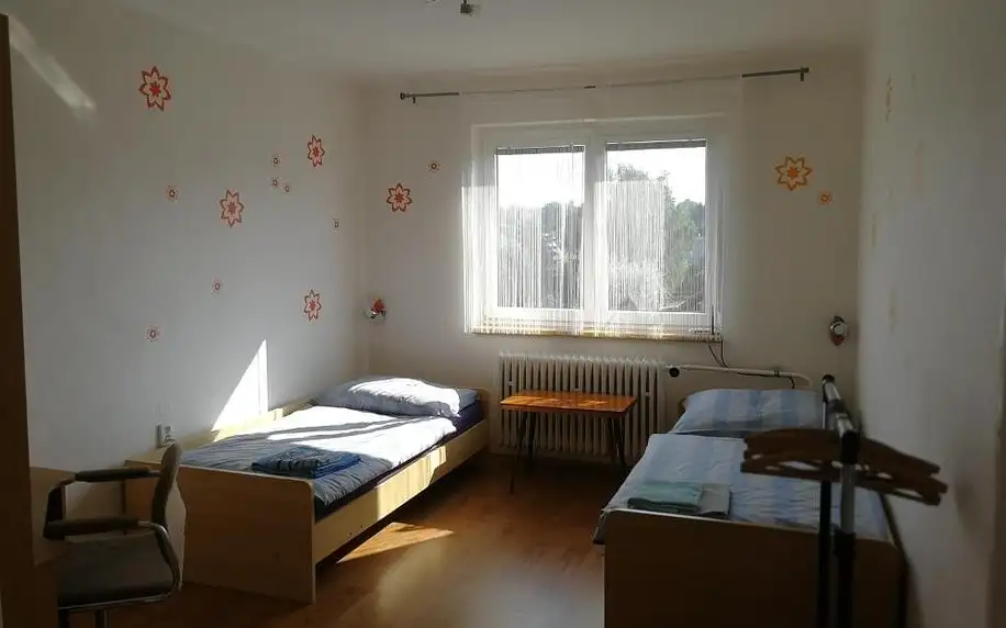 Plzeňsko: Apartment Pražská