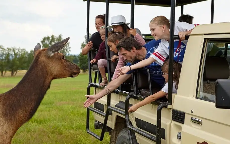 Den v safari parku: lukostřelba, burger a zvířata