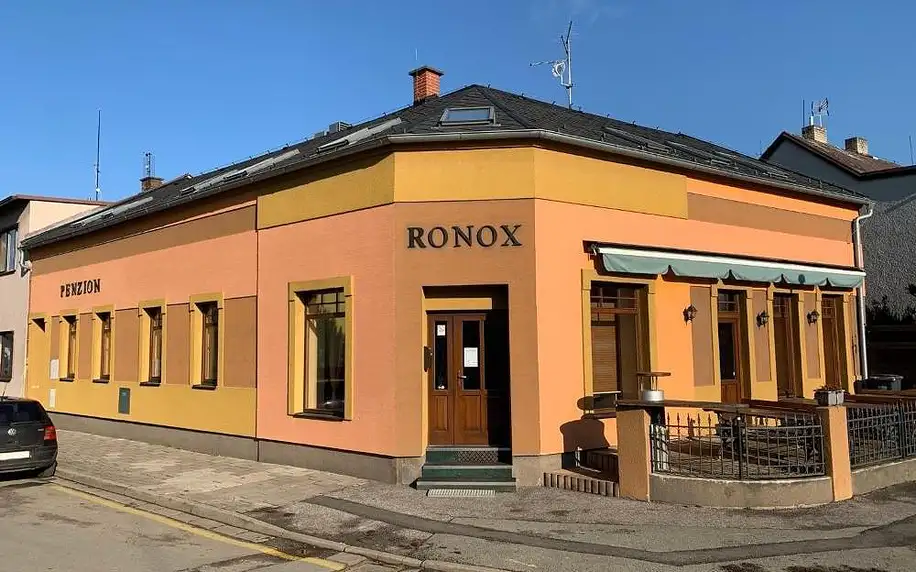 Česká Skalice: Penzion Ronox
