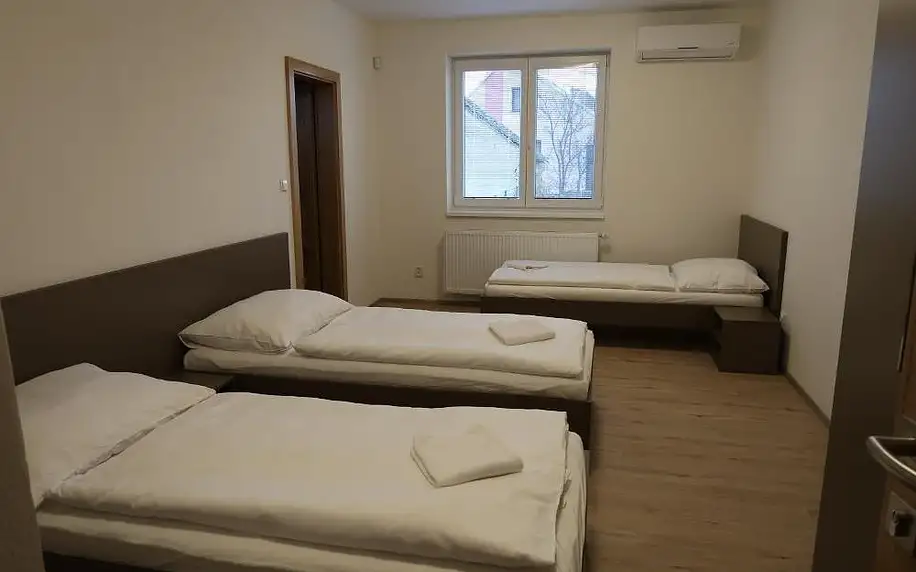 Drnholec: Apartmán Matyáš s možností vířivky na pokoji