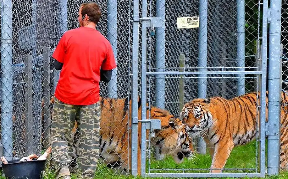 Rodinný pobyt v táborské zoo i péče o zvířata